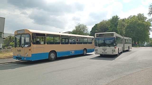 MAN SG292 und SÜ240 in Lüntenbeck